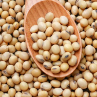 Soybeans