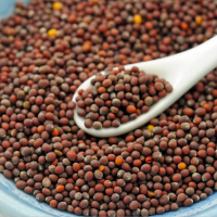 Mustard seeds