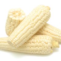Low-price White Maize Perfect For