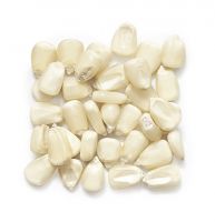 White Maize In Stock Ready For