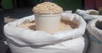 Top-quality White Maize For Sale