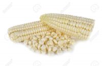 Buy White Maize In Wholesale Direct