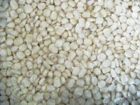 High-quality White Maize For Sale