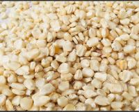 Low-cost White Maize Wholesale Best
