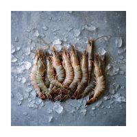 Shrimps for Sale at Wholesale Prices