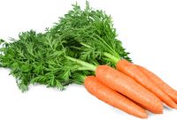 High-quality Fresh Carrots For Supermarkets