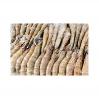 Freshly Frozen White Shrimp At Competitive