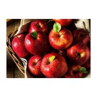 Affordable Red Apples For Food Suppliers