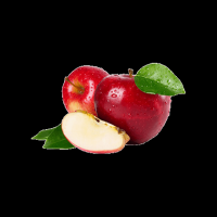 Wholesale Fresh Red Apples For International