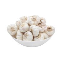 High-quality Fresh Garlic available in bulk at low prices