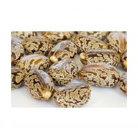 Dried Castor Seeds For Export And