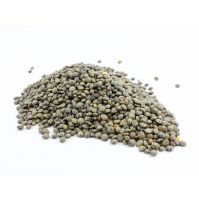 Premium Green Lentils available at wholesale prices