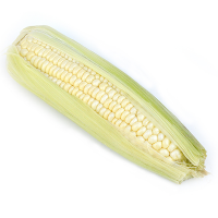 Buy White Corn In Bulk At