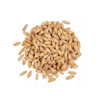 Wholesale Barley Malt For Bakeries And