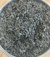 Nutrient-rich Sunflower Seeds Packed For