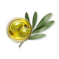 High-quality Olive Oil In Bulk