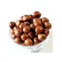 Premium raw hazelnuts for snacking and baking at wholesale price