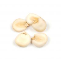 Bulk Supply Of White Corn For