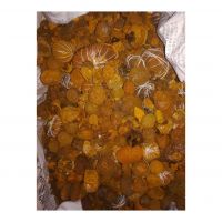 Pure And Dried Ox Gallstones For