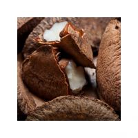 Nutrient-rich Brazilian Nuts For A