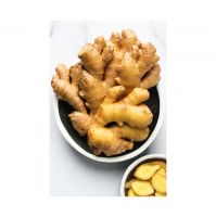 Bulk Fresh Ginger For Food Production