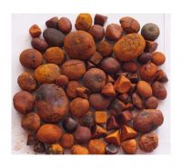 Well-preserved Ox Gallstones For Long