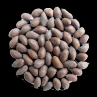 Bulk Cotton Seeds For Farmers And