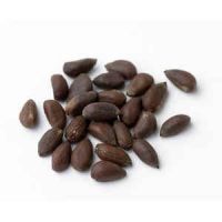 Cotton Seeds For Textile And Industrial