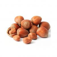 Freshly Harvested Hazelnuts For Commercial Buyers