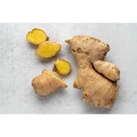 Fresh Ginger Roots Available For Bulk