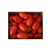 Premium Fresh Tomatoes For Restaurants And