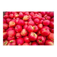 Handpicked Red Apples For Sale In