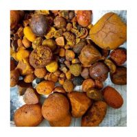 Ox cattle gallstones for sale in bulk at a wholesale price