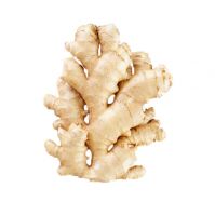 Wholesale Fresh Ginger For Supermarkets And
