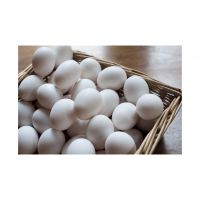 Fresh table eggs for sale in bulk at a wholesale price