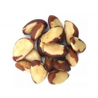 Bulk Brazilian Nuts For Retailers And