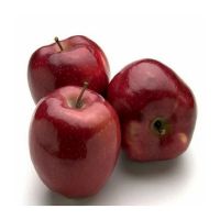 Wholesale Red Apples Bulk Supply Premium