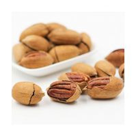 Wholesale Pecan Nuts For Export And