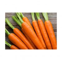 Fresh Carrots For Sale In Bulk