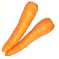 Freshly Harvested Carrots For Juicing And