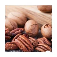 Freshly Harvested Pecan Nuts For Cooking