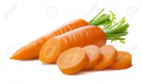 High-quality Fresh Carrots For Pet