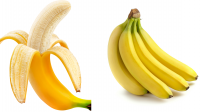 Non-GMO Bananas Sourced From Trusted