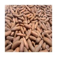 Organic Pecan Nuts For Health-conscious