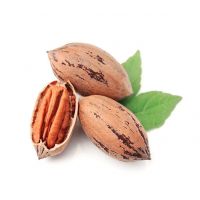 Shelled Pecan Nuts Ready For Immediate