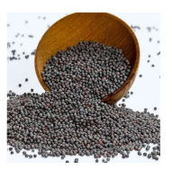 Nutrient-rich Rapeseed Perfect For Livestock