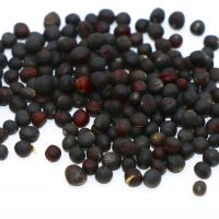 Competitive Prices On Bulk Rapeseed Orders