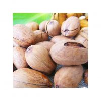 Raw Pecan Nuts Packed With Nutrients