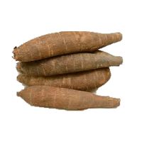 Top-grade Cassava Roots For Food