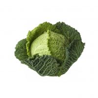 Fresh Cabbage Available For Bulk Supply